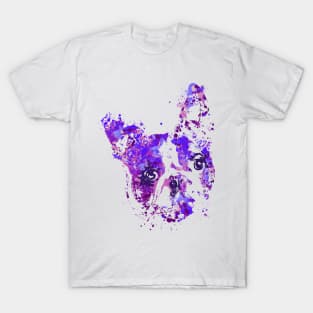 Boston Terrier T-Shirt